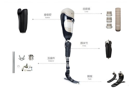 下肢假肢結(jié)構(gòu)圖解介紹